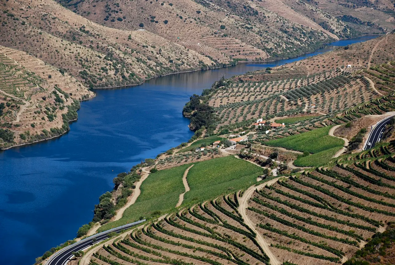 I vigneti della valle del Douro